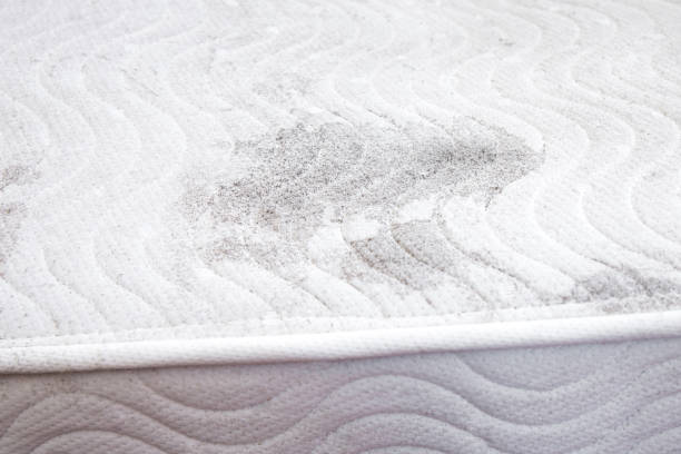 The Hidden Danger: Mold in Your Mattress